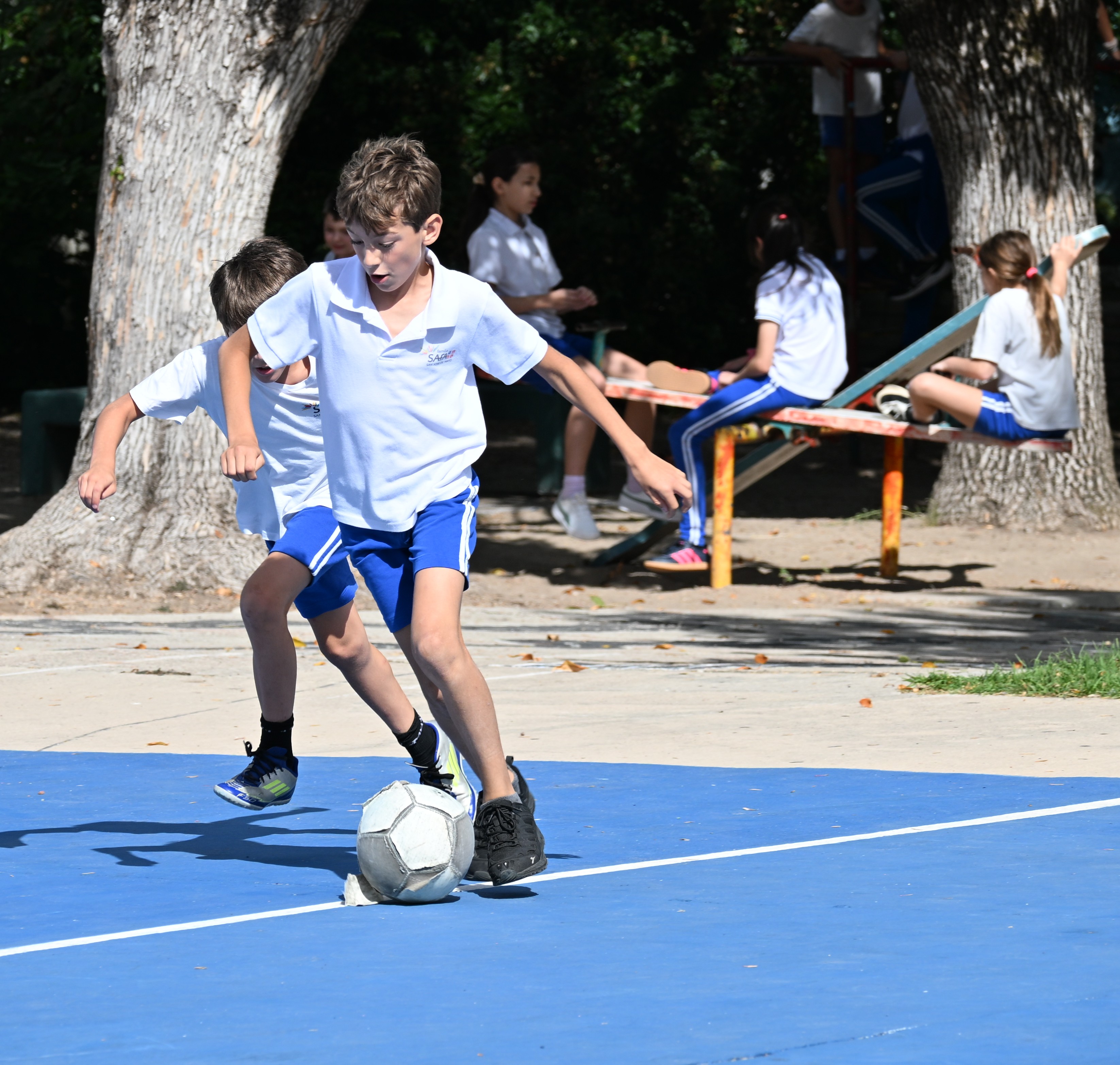 Primaria